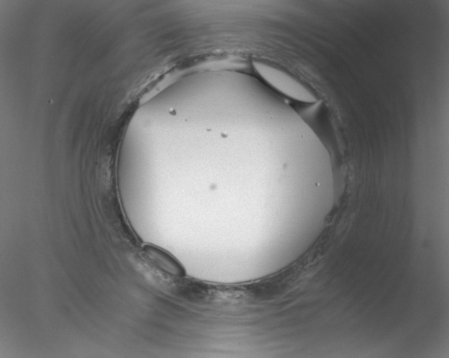 X0000076430401200611031845