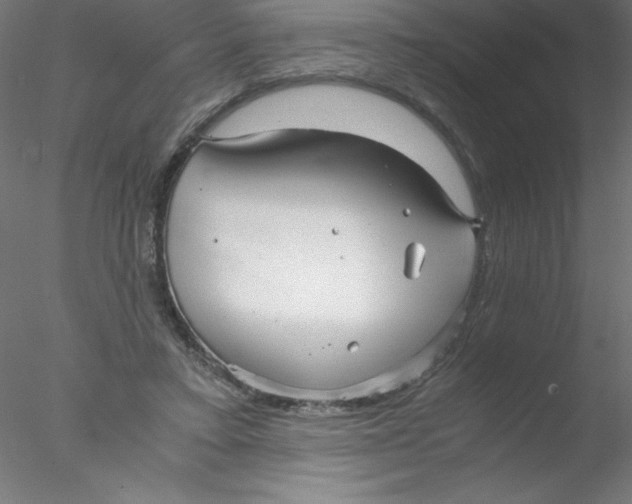 X0000076430403200611031845