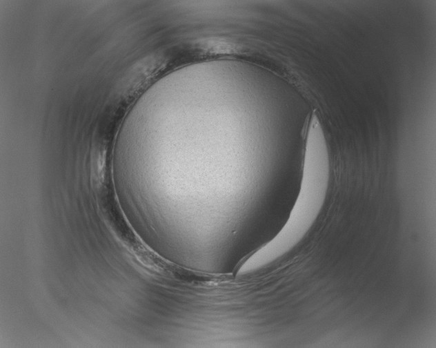 X0000076430406200611031845