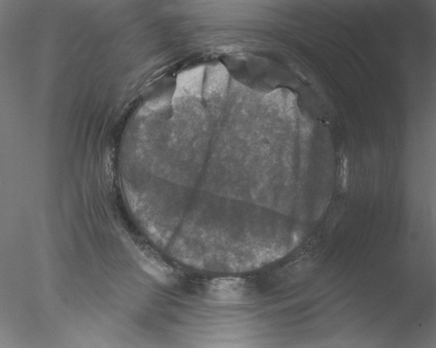 X0000076430410200611031844