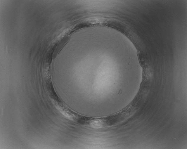 X0000076430411200611031844