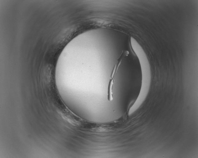 X0000076430412200611031844