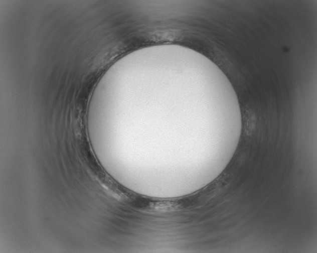 X0000076430414200611031844