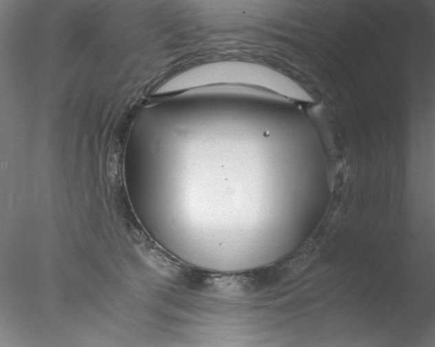 X0000076430417200611031844