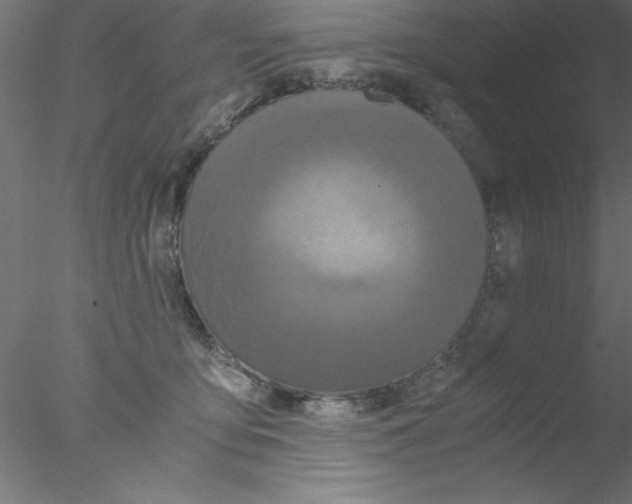 X0000076430419200611031844