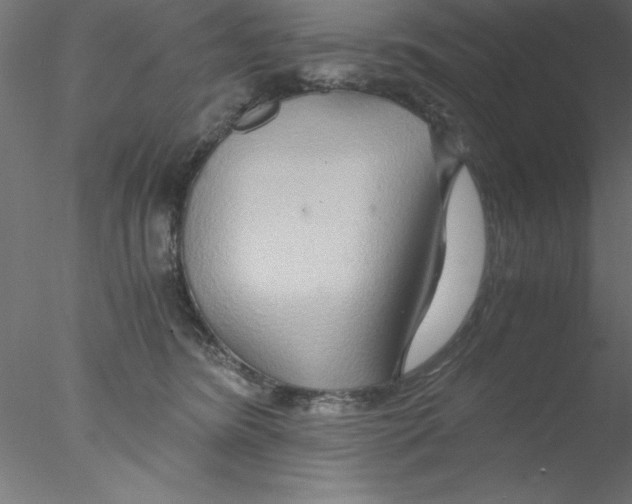 X0000076430420200611031844