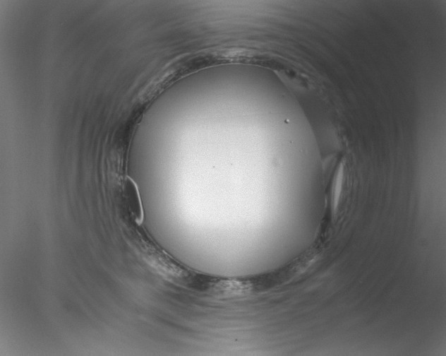 X0000076430421200611031844