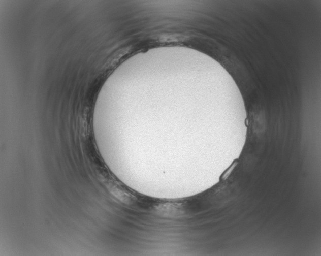 X0000076430422200611031844