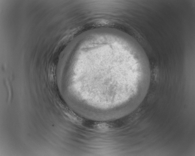 X0000076430423200611031844