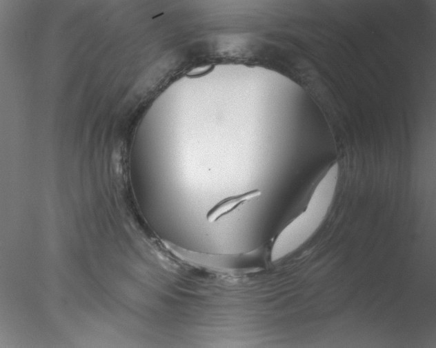 X0000076430424200611031844