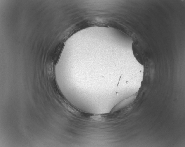 X0000076430425200611031844