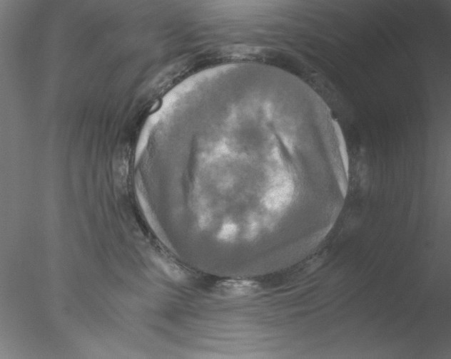 X0000076430427200611031844