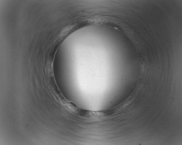 X0000076430429200611031844