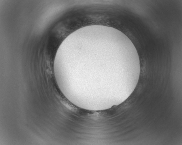 X0000076430430200611031844