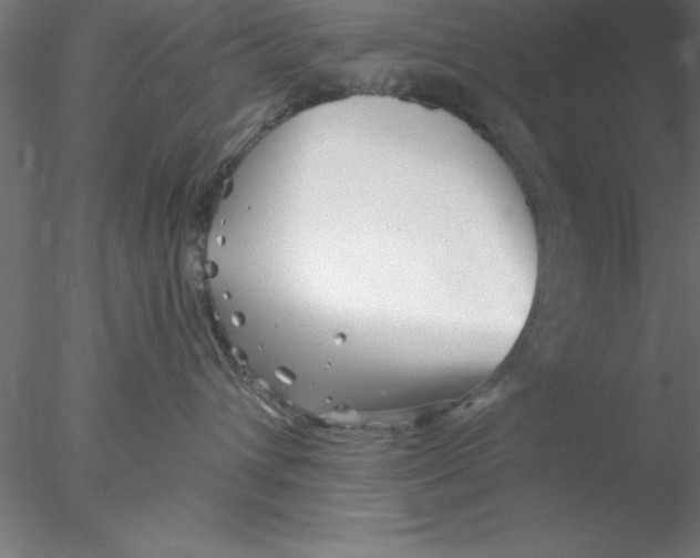 X0000076430432200611031844