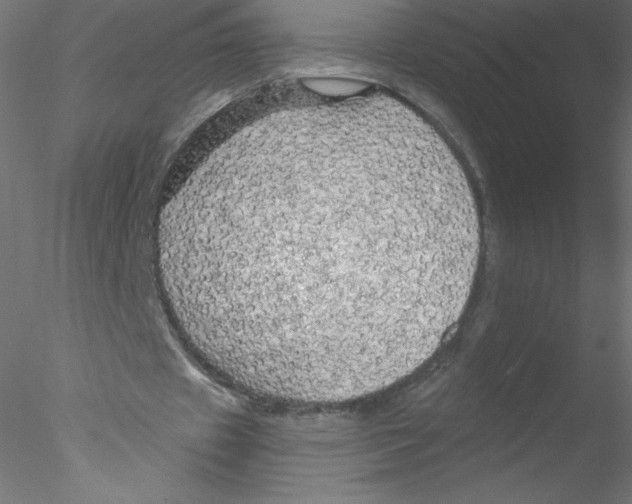 X0000076430433200611031843