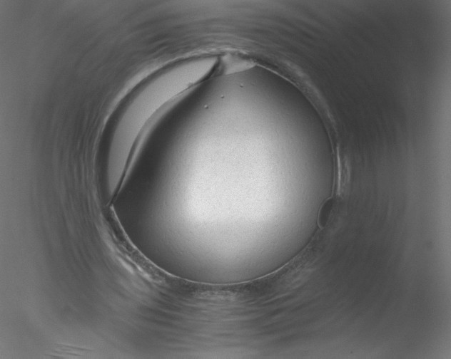 X0000076430435200611031843