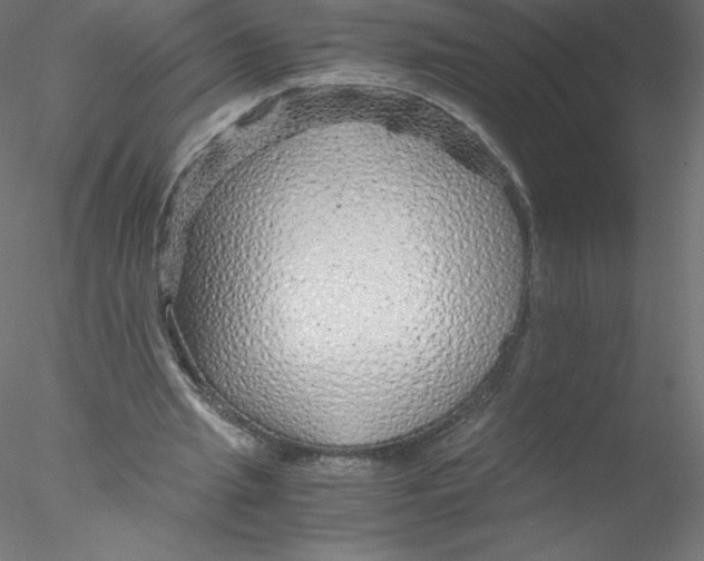 X0000076430437200611031843