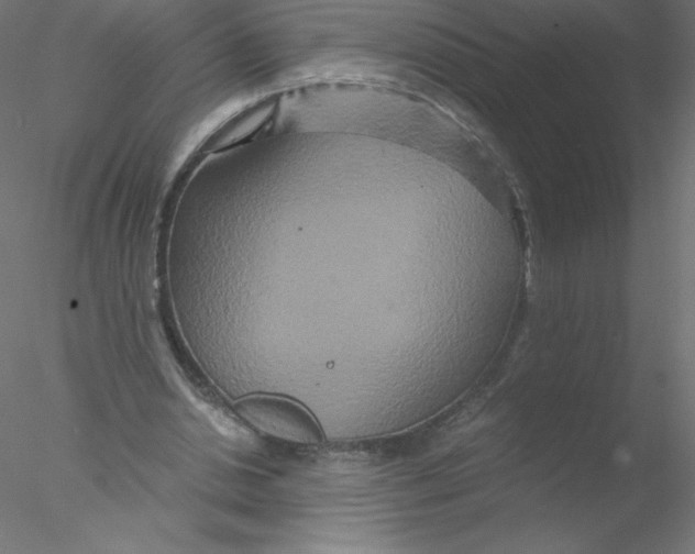 X0000076430438200611031843