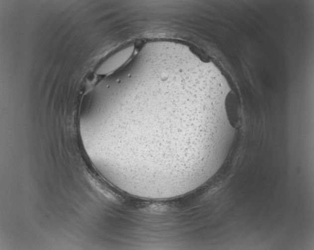 X0000076430441200611031843