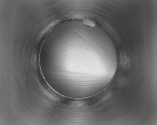 X0000076430444200611031843