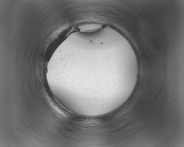 X0000076430445200611031843