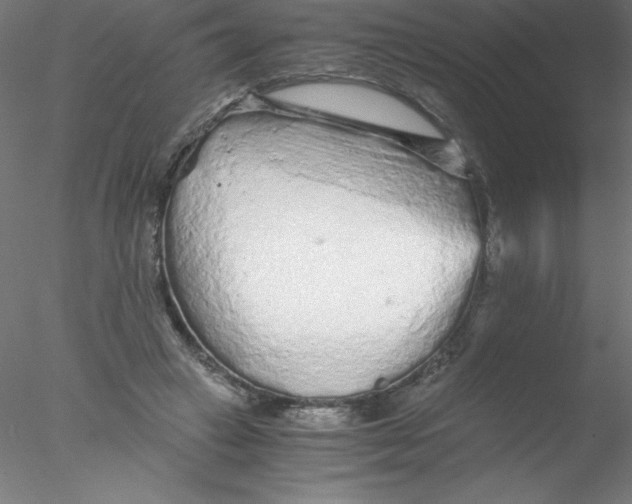 X0000076430449200611031844