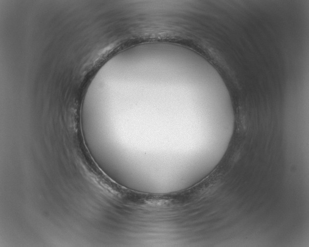 X0000076430450200611031844