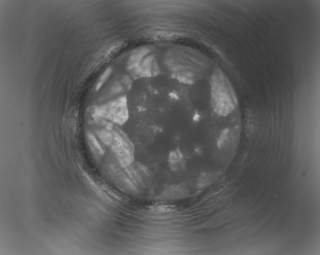 X0000076430451200611031844