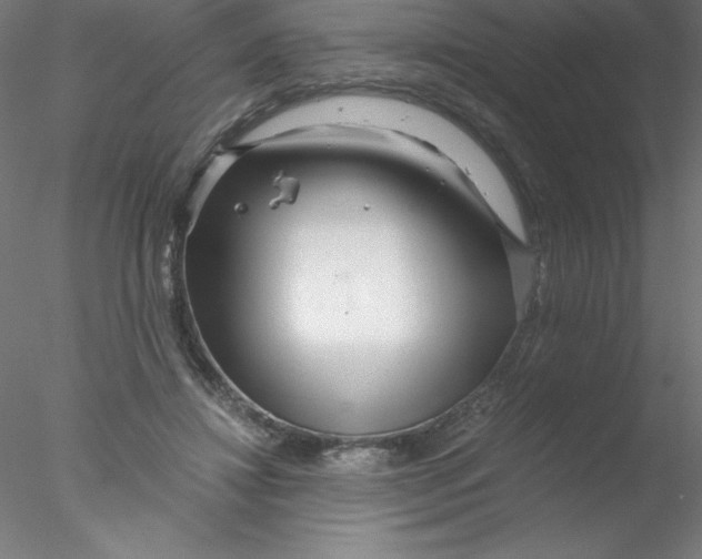 X0000076430452200611031844