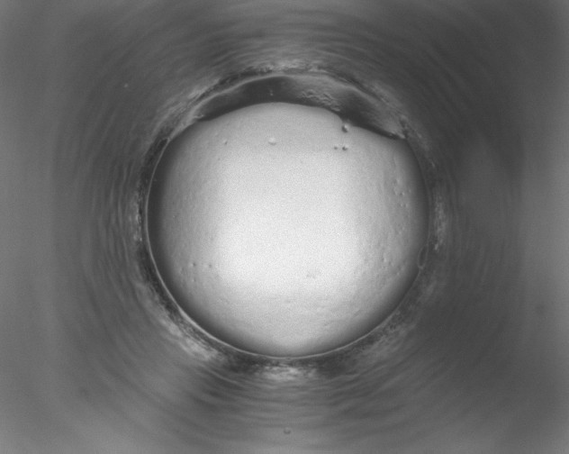 X0000076430453200611031844