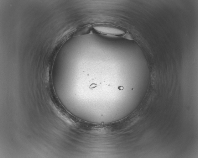 X0000076430454200611031844