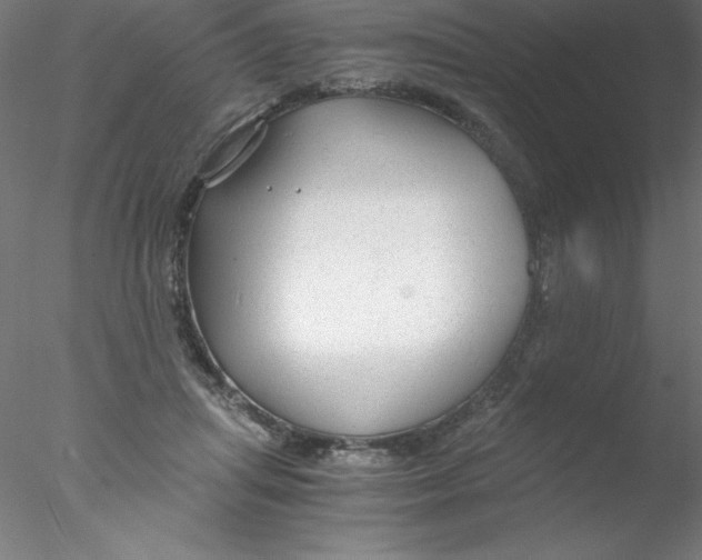 X0000076430455200611031844