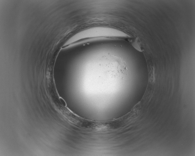 X0000076430456200611031844