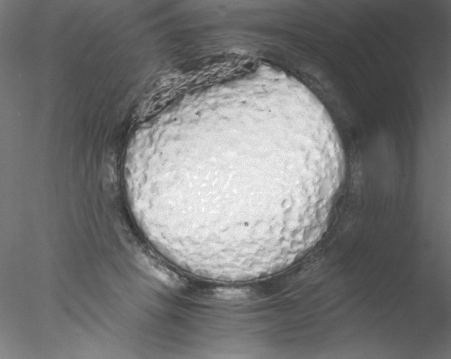 X0000076430457200611031844