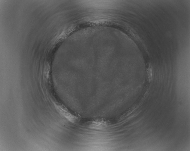 X0000076430458200611031844