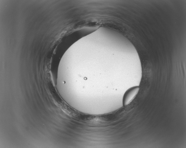 X0000076430460200611031844