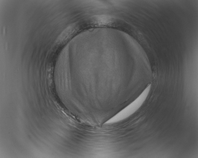 X0000076430462200611031844