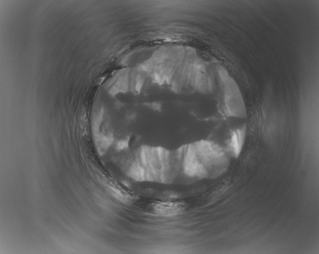 X0000076430465200611031844