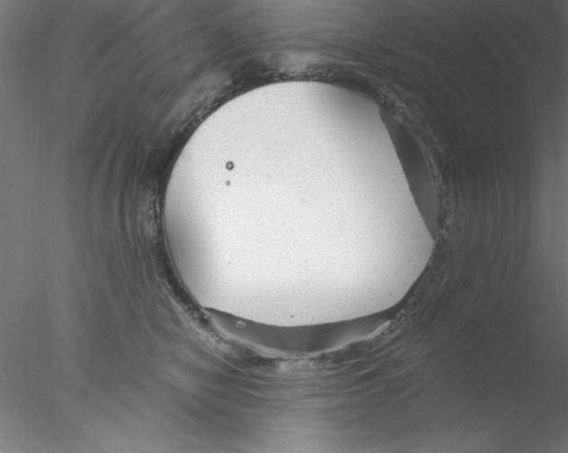 X0000076430470200611031844