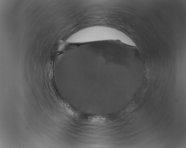 X0000076430471200611031844