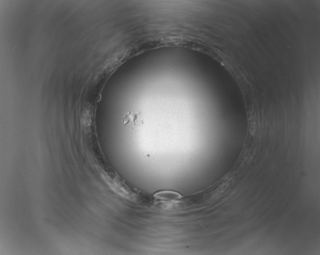 X0000076430472200611031844