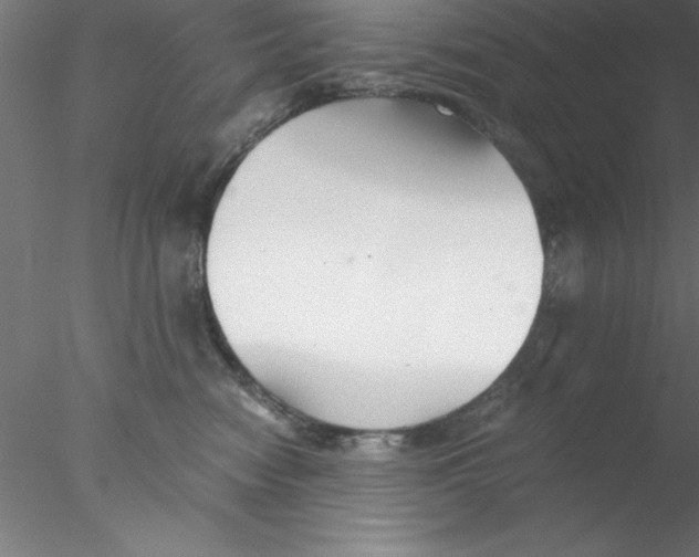 X0000076430474200611031844