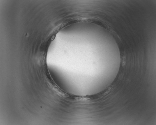 X0000076430476200611031844