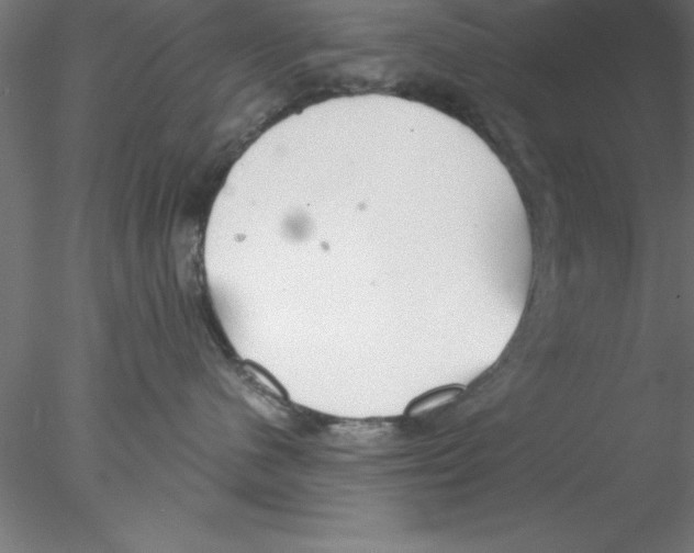 X0000076430480200611031844