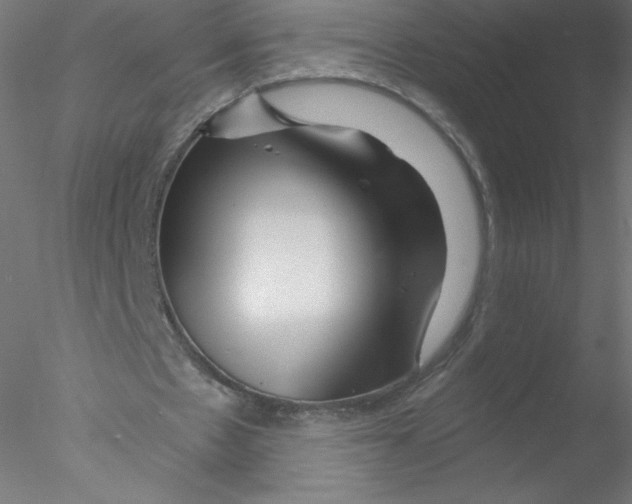 X0000076430481200611031843