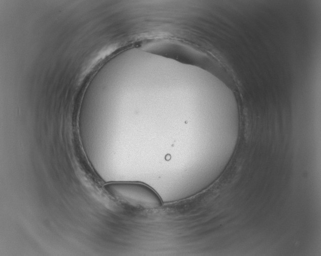 X0000076430482200611031843