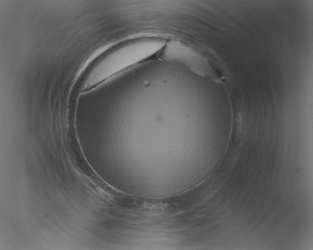 X0000076430484200611031843