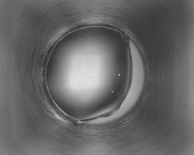 X0000076430485200611031843