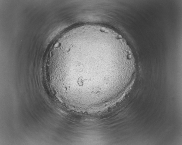 X0000076430487200611031843